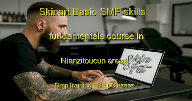 Skinart Basic SMP skills fundamentals course in Nianzitoucun area | SmpTraining | SmpClasses | SkinartTraining-China